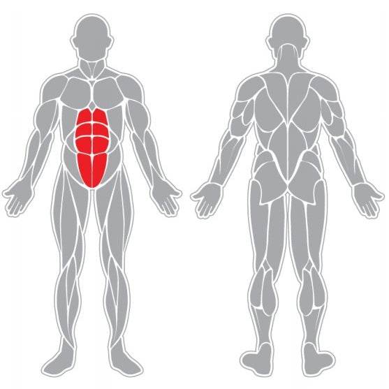 Banca Abdominales - Hobby Market