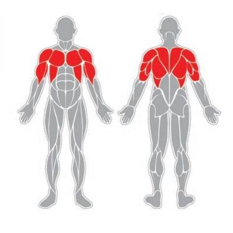 Banca Abdominales - Hobby Market