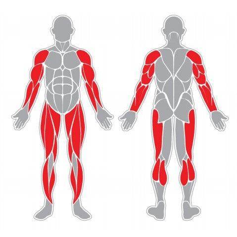 Caminadora Simple - Hobby Market