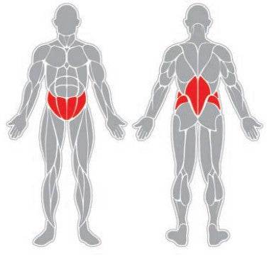 Elongación de Cintura - Hobby Market