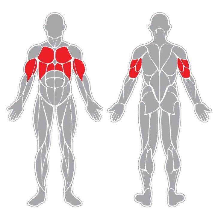 Hombros y Brazos Discapacitados - Hobby Market