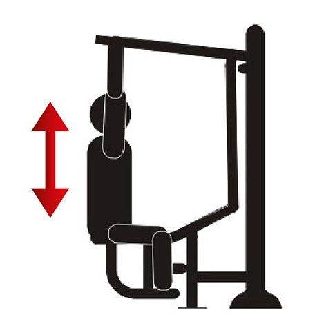 Hombros y Espalda - Hobby Market