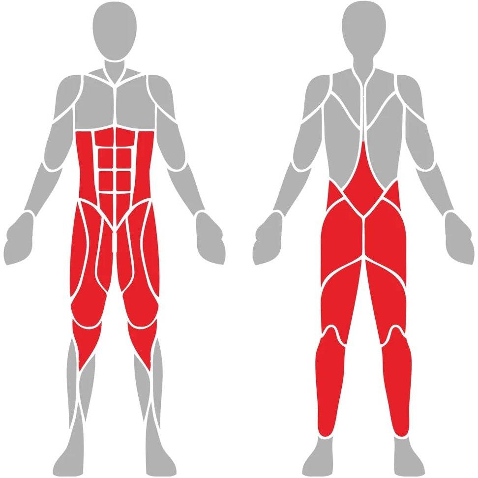 Sentadilla - Hobby Market