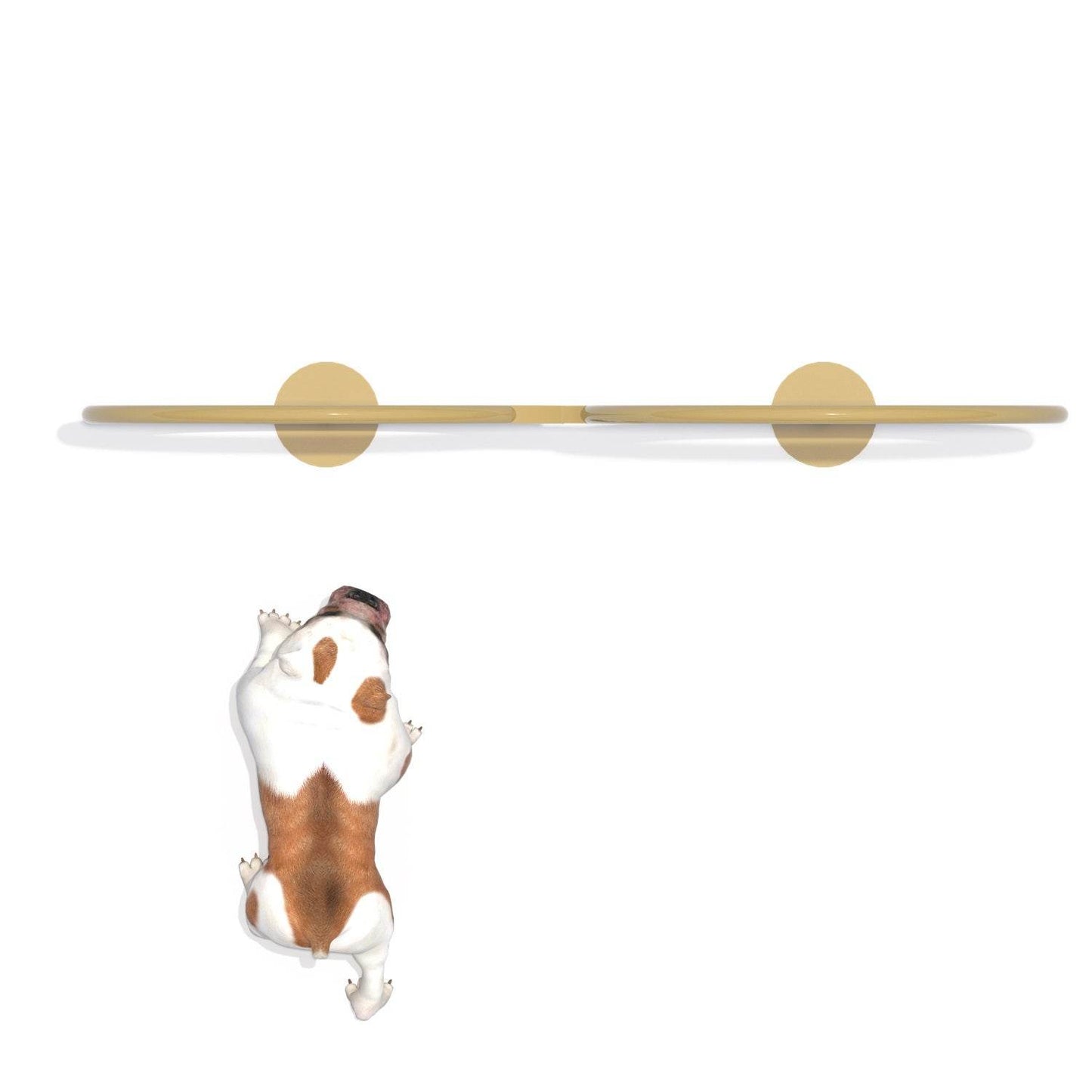 Aro de Salto Dual Canino - Hobby Market