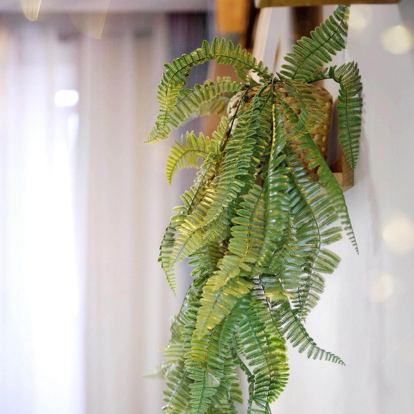 Enredadera Perenne - Hobby Market