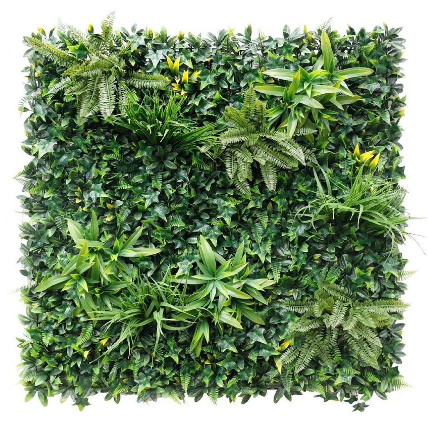 Jardin Vertical Amazonas - Hobby Market