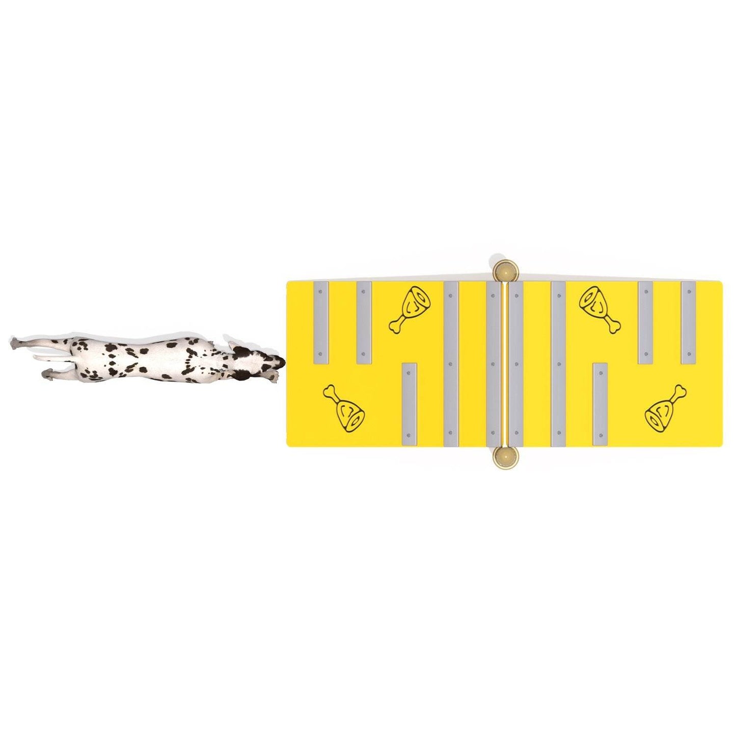 Pasarela Canino - Hobby Market