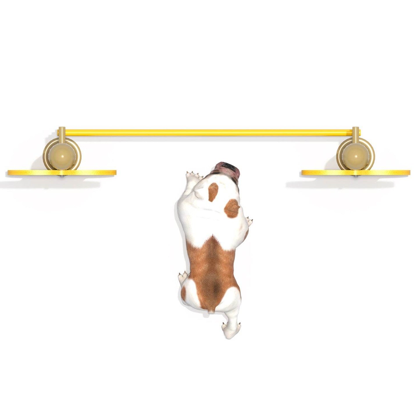 Salto Alto Canino - Hobby Market