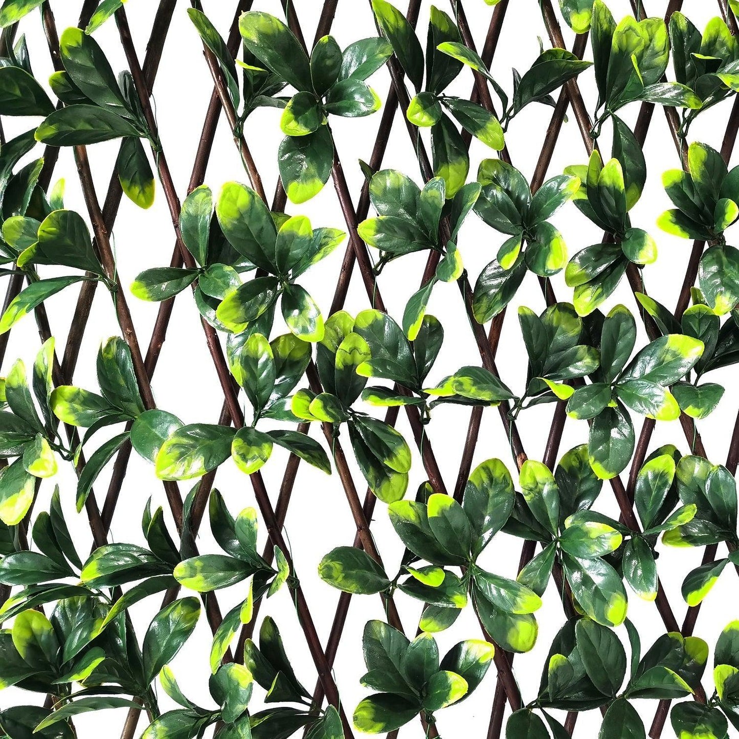 Valla Artificial Pared Willow-Vallas-HBFA05-Jardin Vertical-Hobby Market