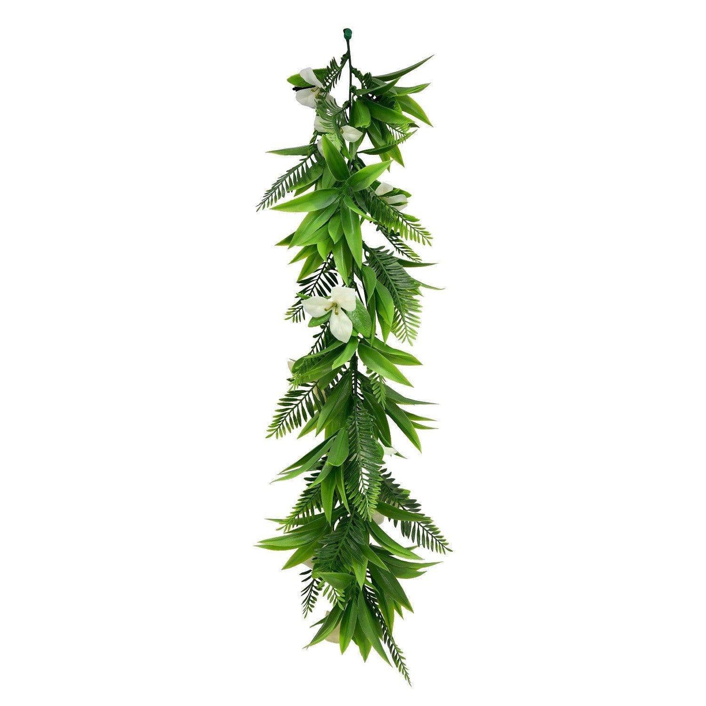 Enredadera Hawaii
