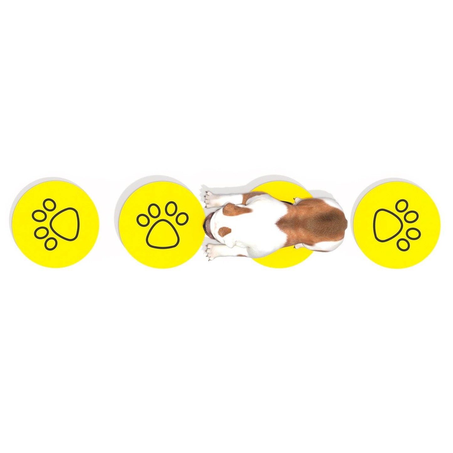 Set de Equilibrio Canino - Hobby Market