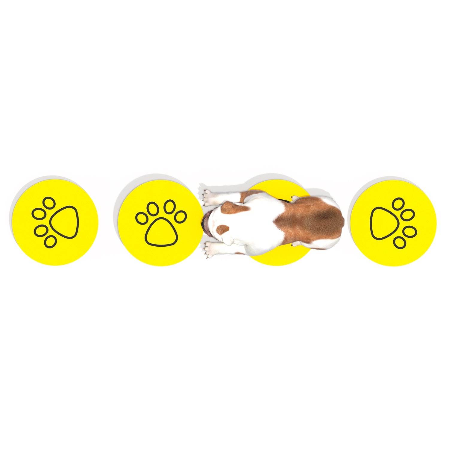 Set de Equilibrio Canino - Hobby Market
