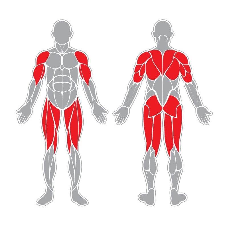 Fortalecimiento Abdominales - Hobby Market