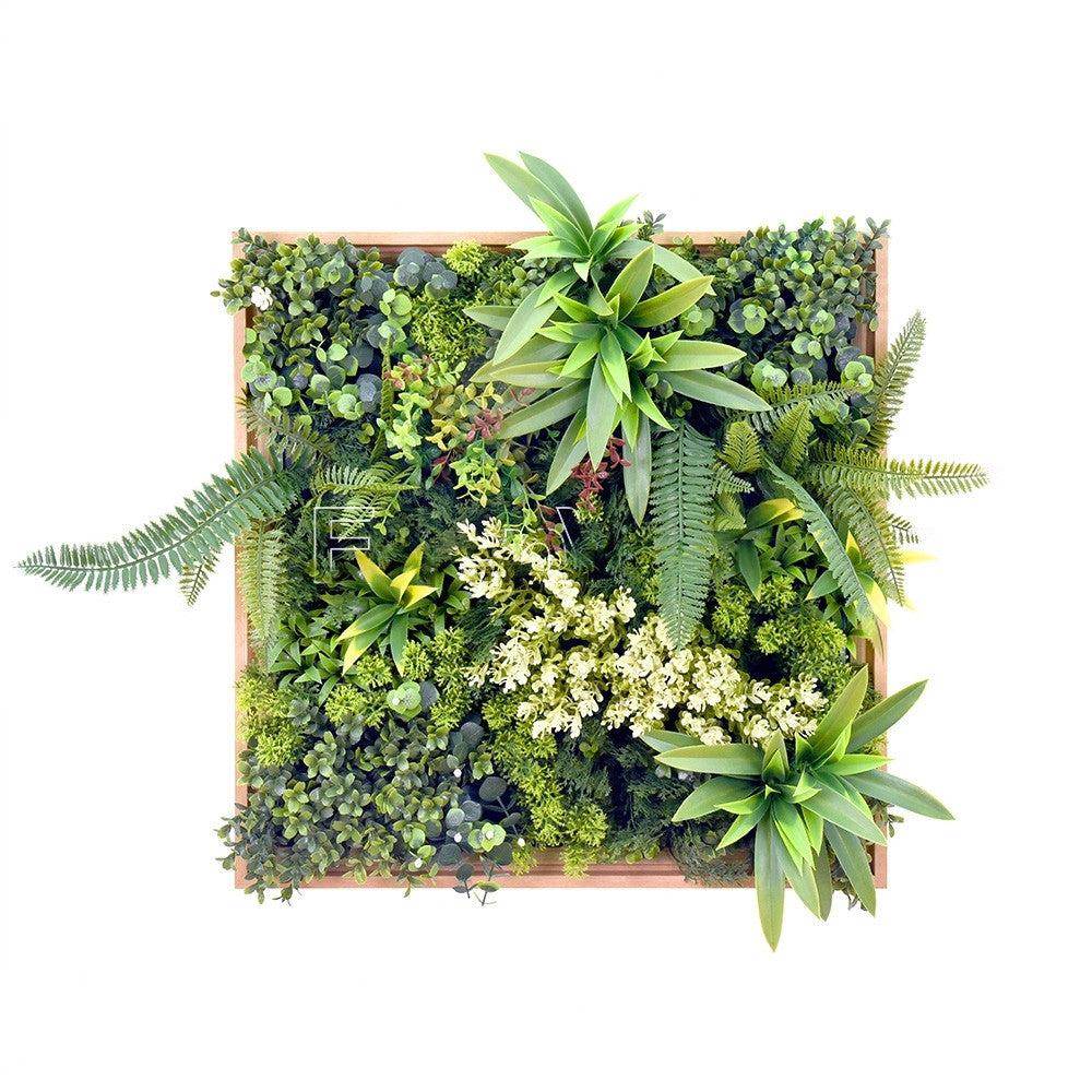 Jardín Vertical Irlanda - Hobby Market