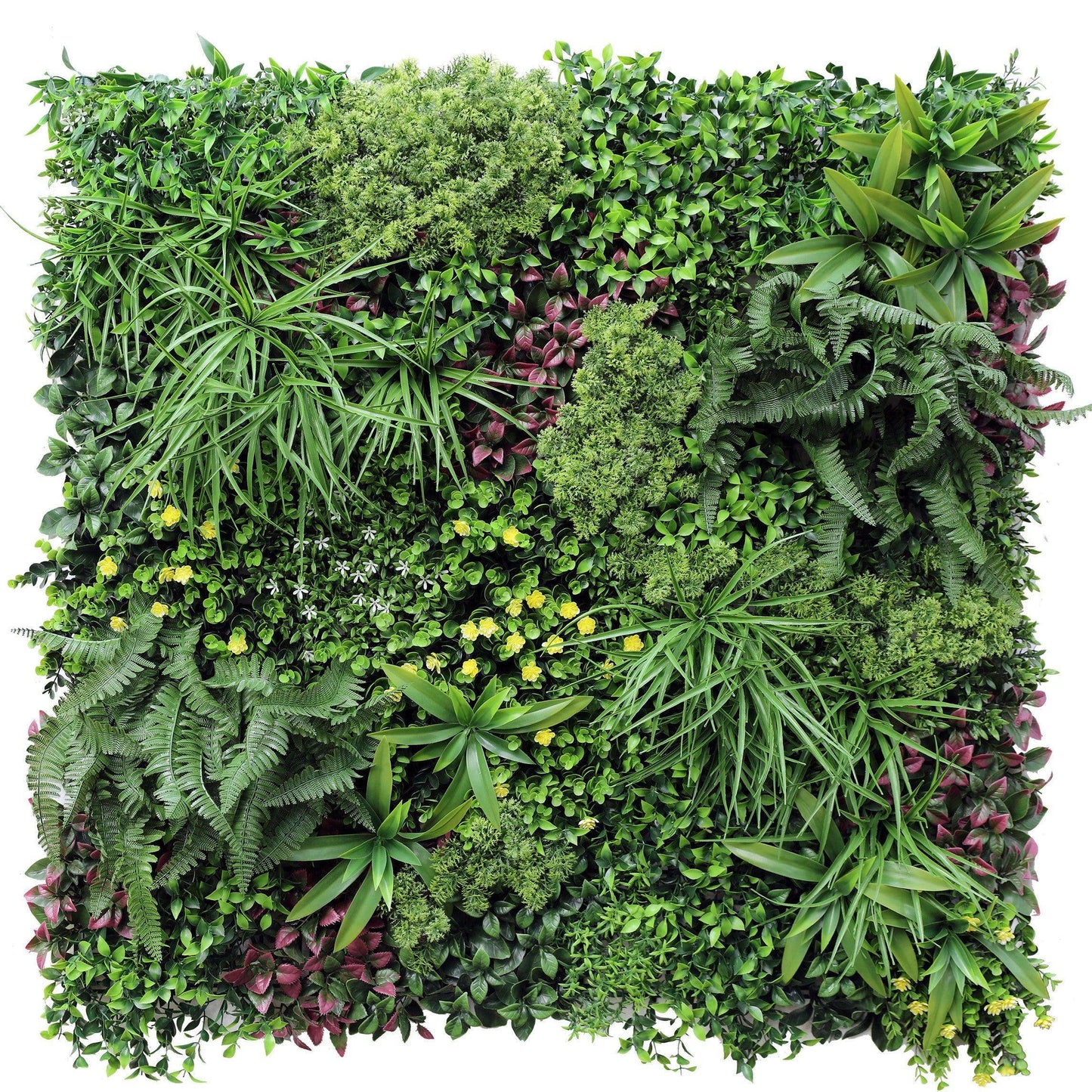 Jardín Vertical Papua - Hobby Market