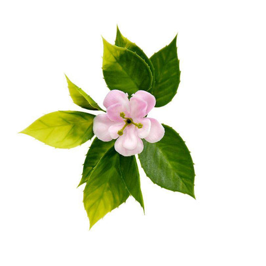 Jardín Vertical Trébol - Hobby Market