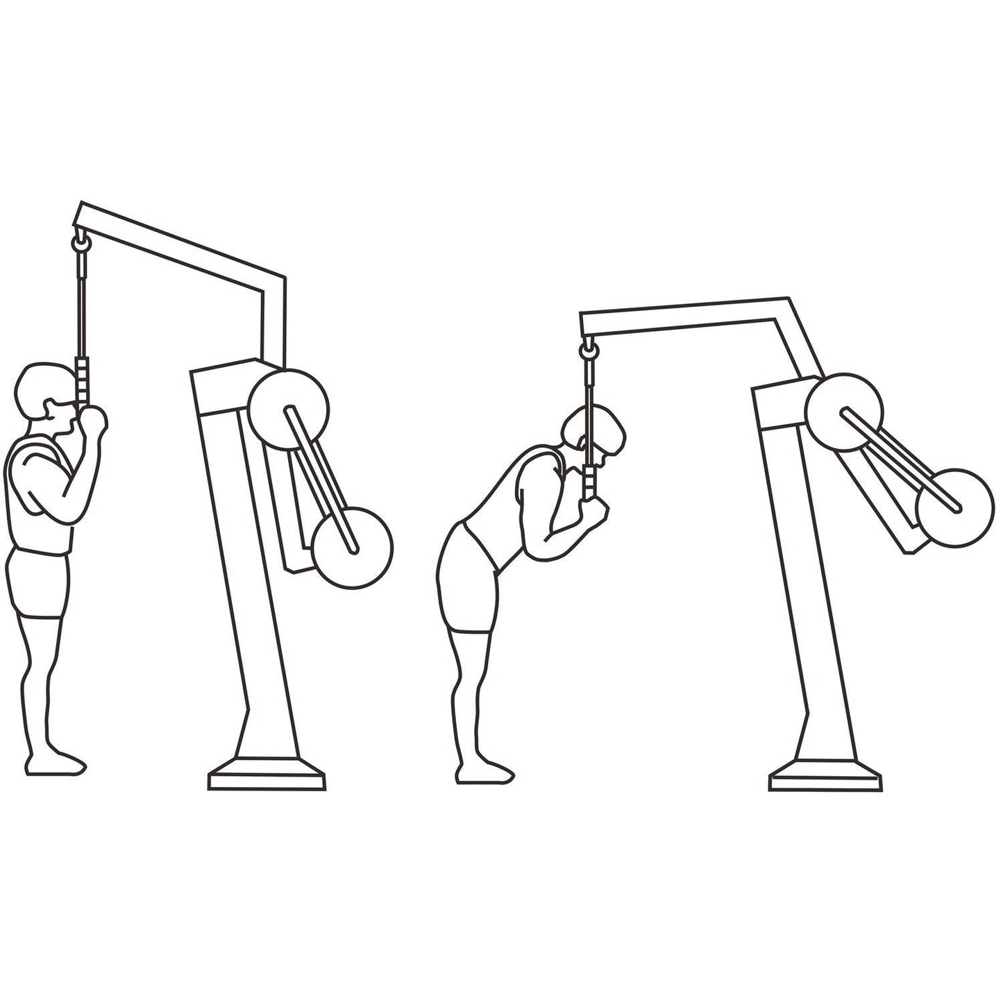 Dorsal - Hobby Market