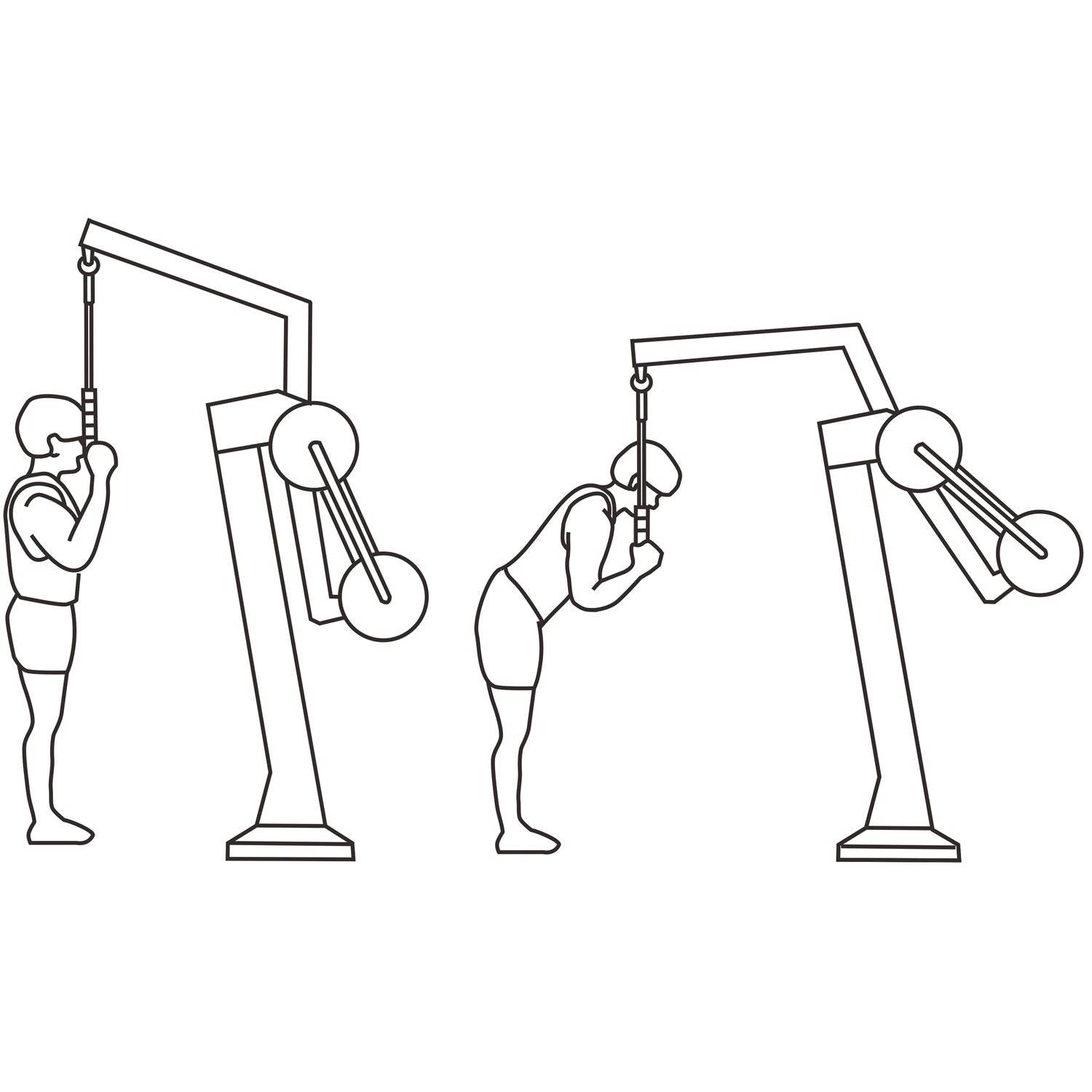 Dorsal - Hobby Market