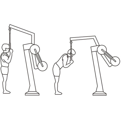 Dorsal - Hobby Market