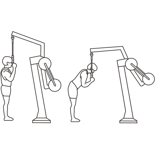 Dorsal - Hobby Market