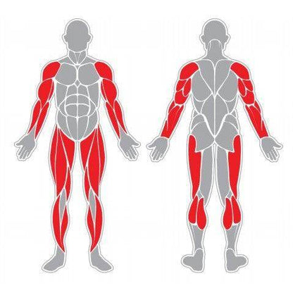 Eliptica Pro - Hobby Market