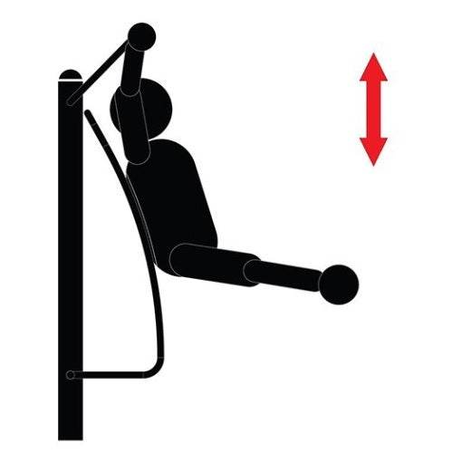 Fuerza Multifuncional - Hobby Market