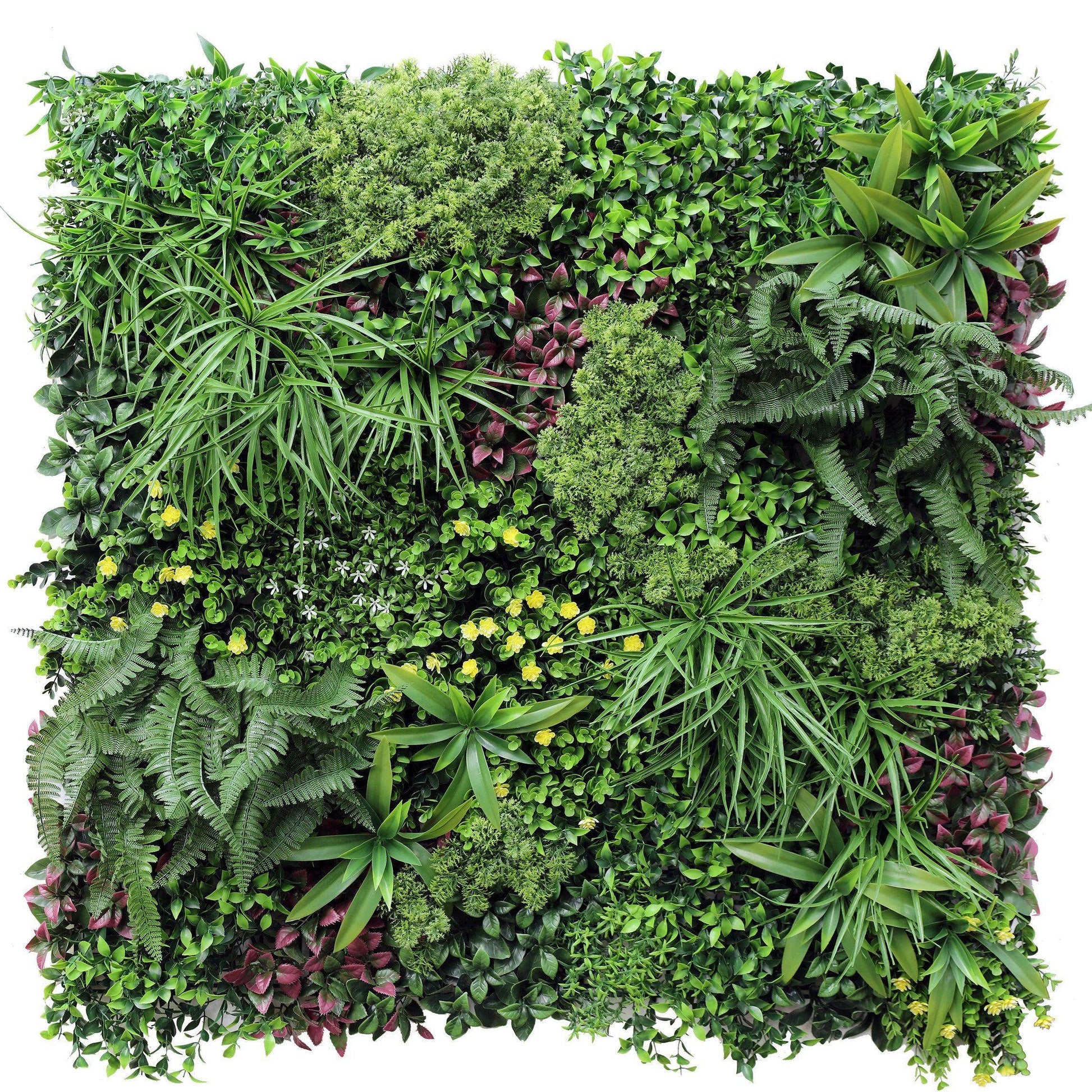Jardín Vertical Papua - Hobby Market