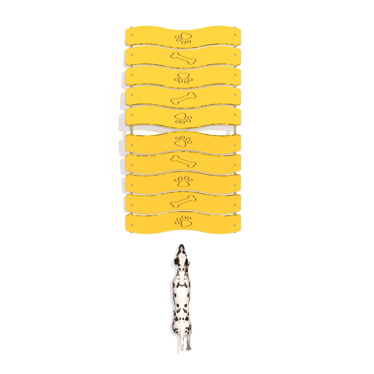 Pasarela Canino Pro - Hobby Market