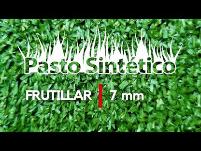 Pasto 7mm 2x10 Metros