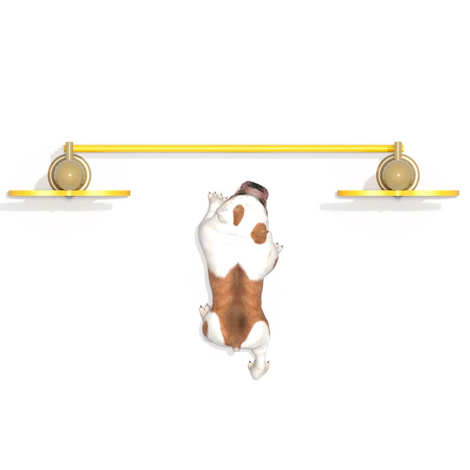 Salto Alto Canino - Hobby Market