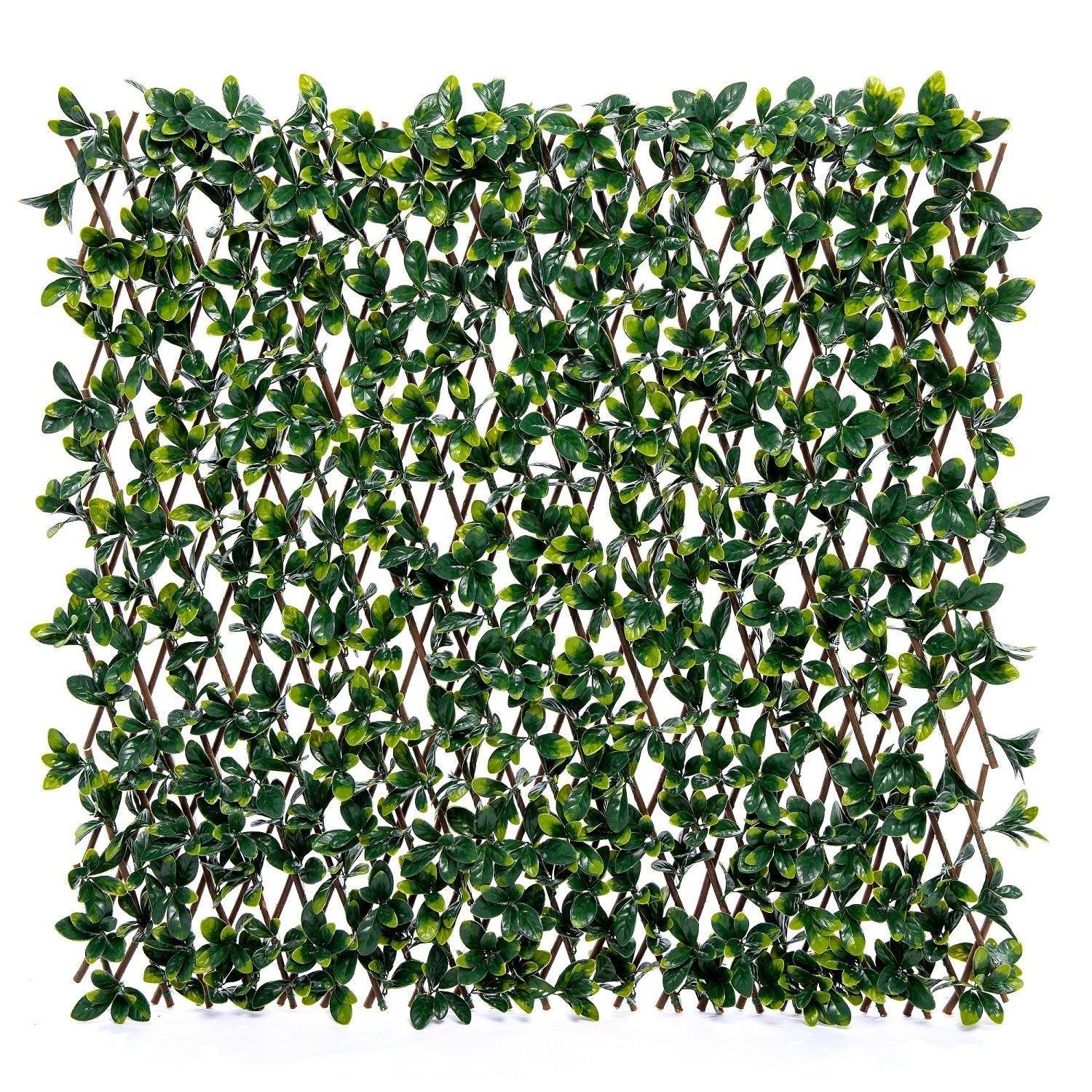 Valla Artificial Pared Willow-Vallas-HBFA05-Jardin Vertical-Hobby Market