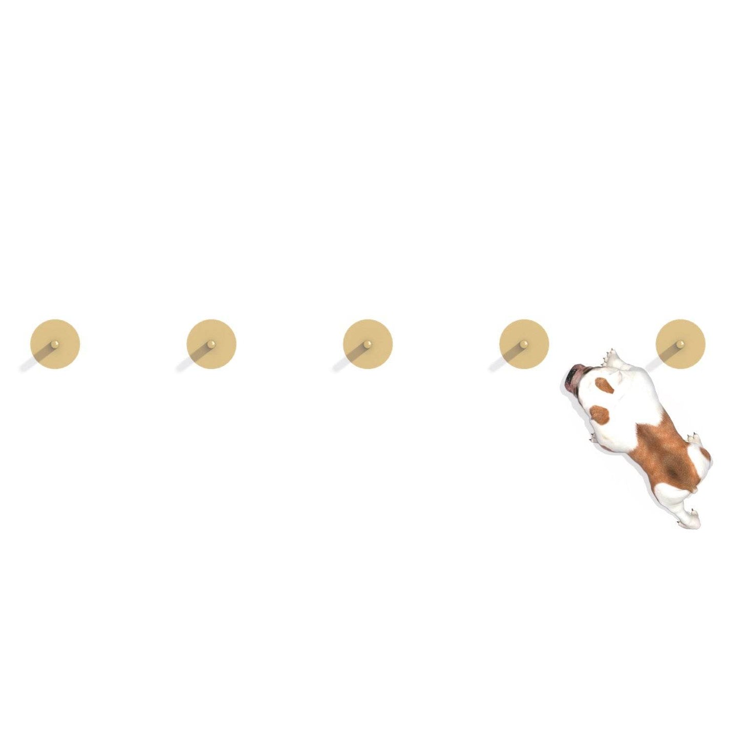 Zig Zag Entrenamiento Canino - Hobby Market